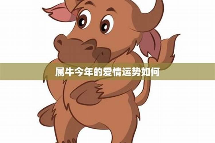 当孩子在婚姻上出现了问题做父母的应该怎么办