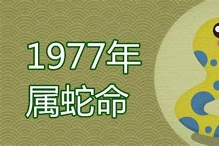 1977年属蛇的人2025年的运势及运程