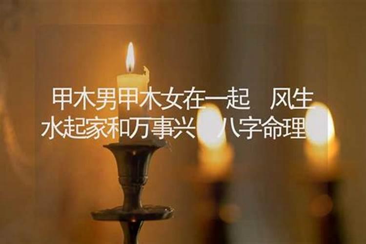 癸水女适合什么男人乙木男