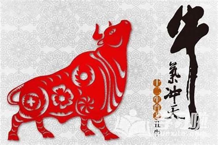 73年属牛的,正月初一子时生人命运如何