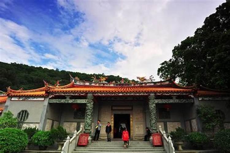 梦见两只乌龟是什么意思