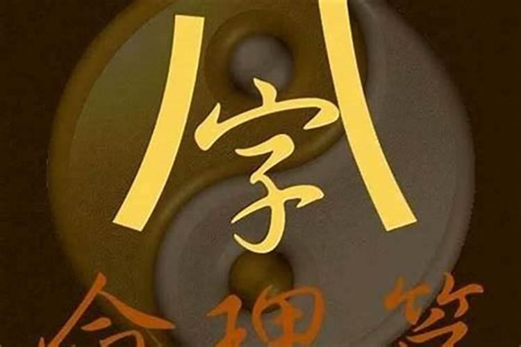 梦见两只乌龟好不好？