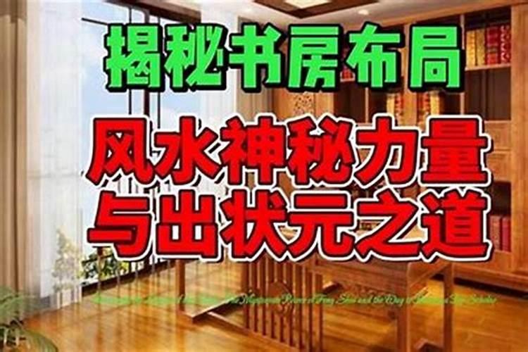 梦到两只乌龟是什么意思
