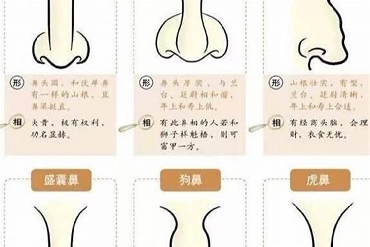 女人鼻子看面相算命