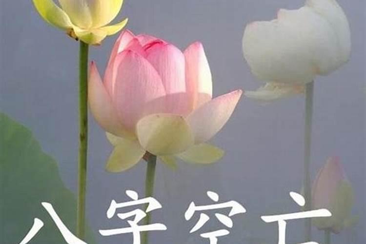 梦见两只乌龟是什么意思