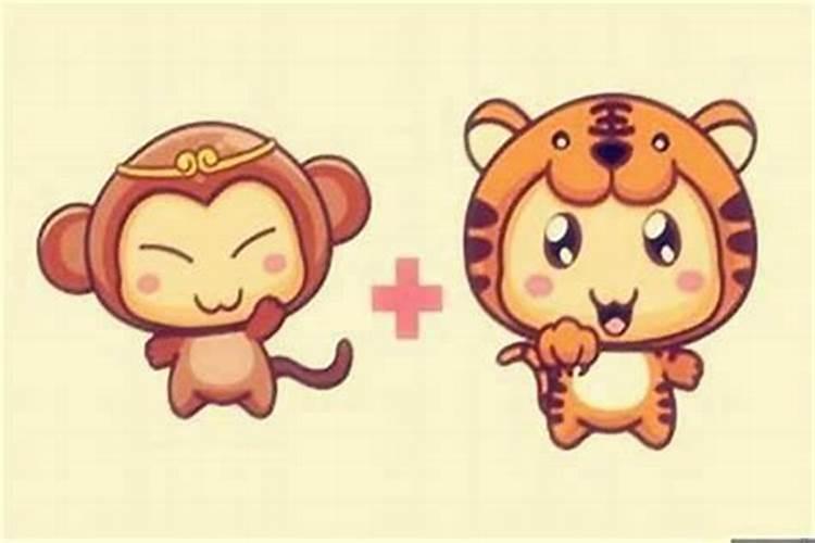 生肖合婚:属龙和属猴的婚姻怎么样 相合吗