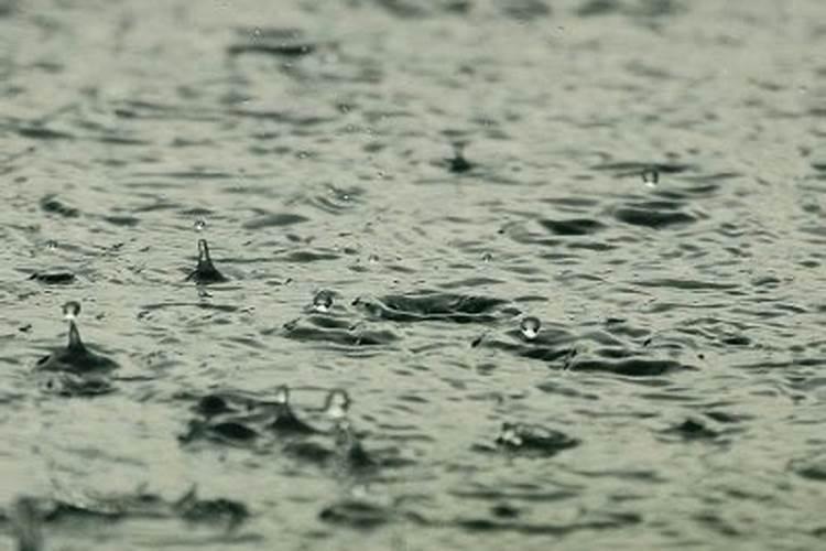 梦到下大雨到处都是水