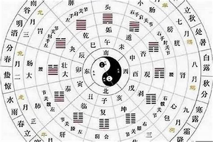 什么叫双午合未？