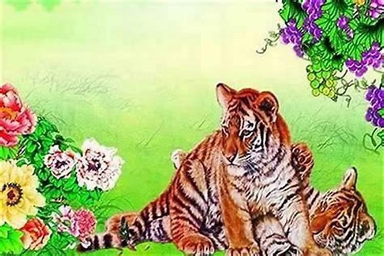 家居风水不良的征兆