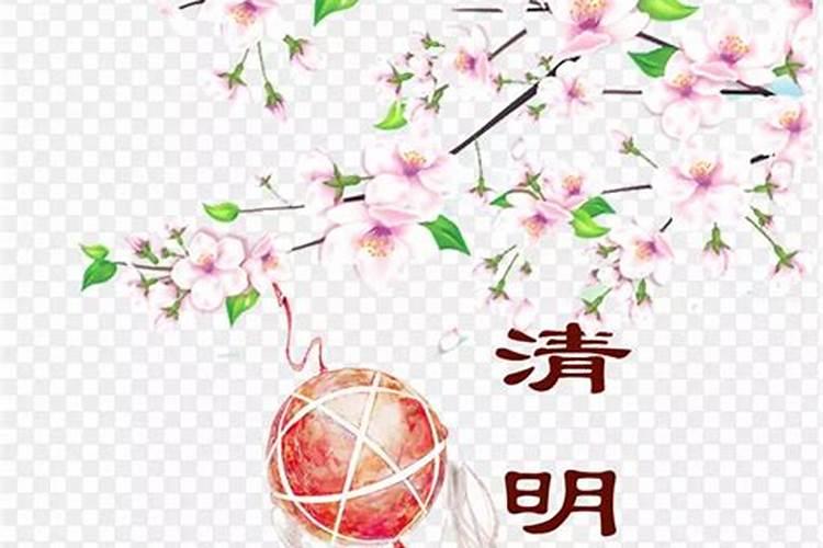 求清明樱花祭完整版的音译歌词
