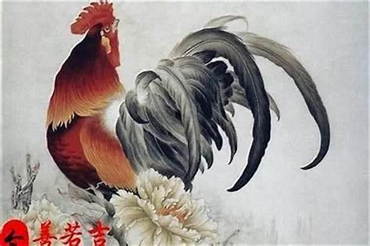93年属鸡下半年运势
