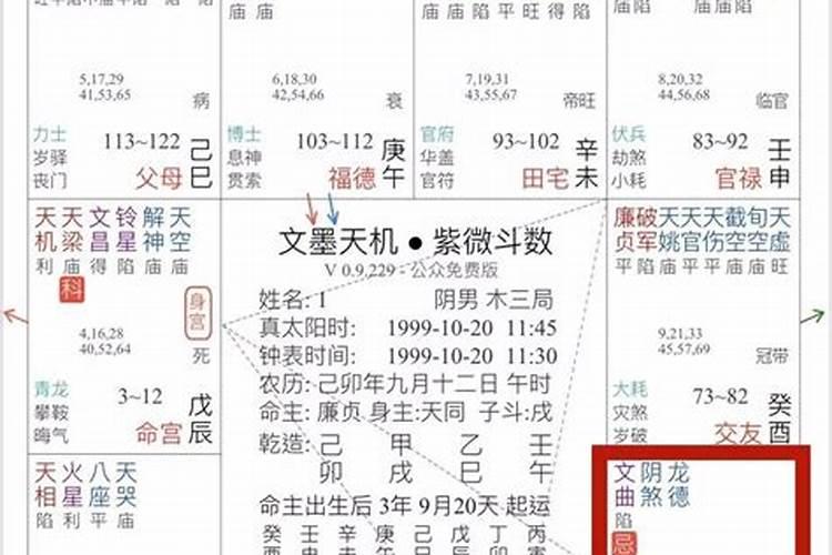 夫妻宫化忌入命宫