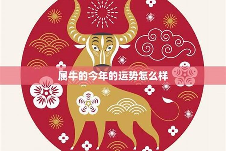 清明节出生有什么讲究