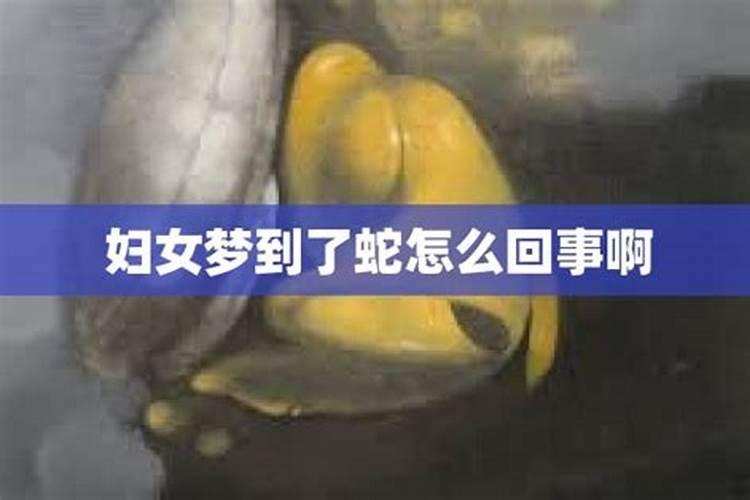 女人梦见蛇缠腰是什么意思