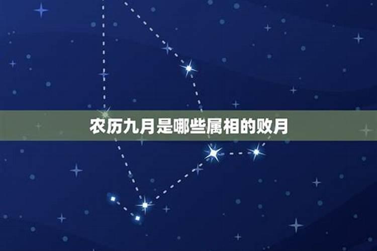 八败命是什么意思