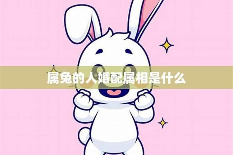 1999属兔男最佳配偶属相