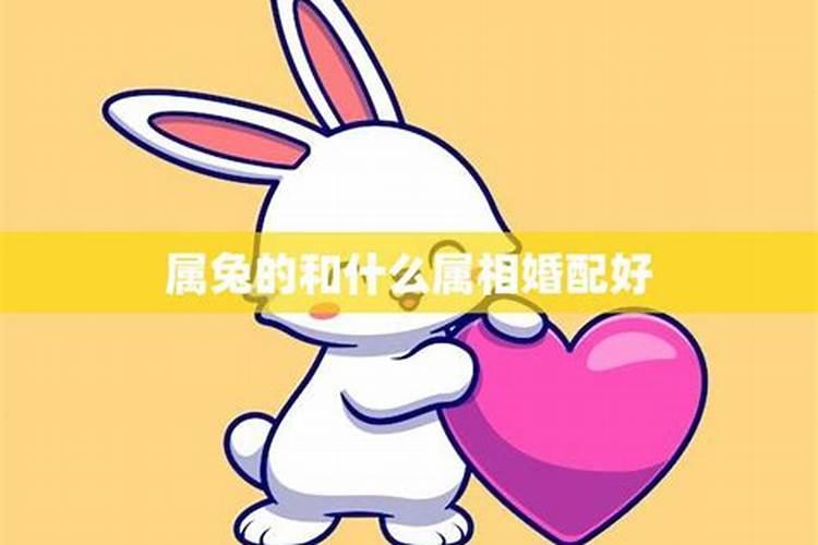 1999年兔女配什么婚姻好,99年兔和什么生肖最配