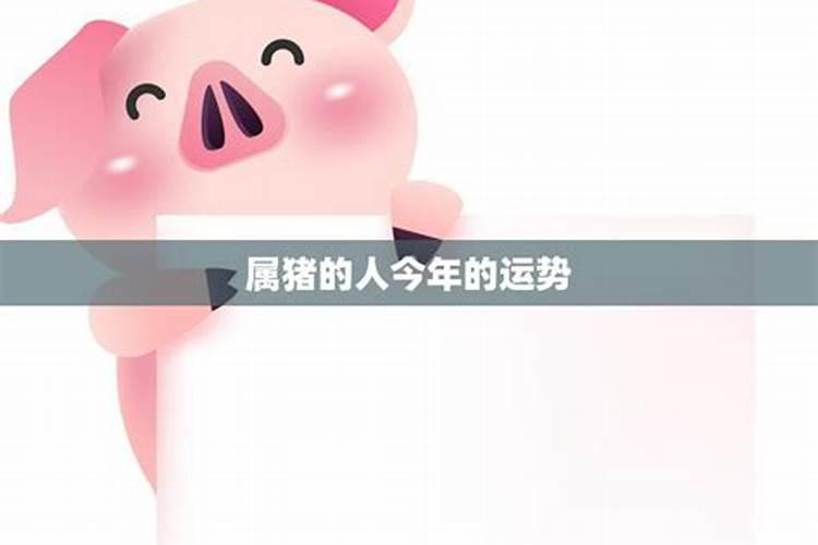 女属猪今天打牌的运气怎么样猪今天赢钱方位解析