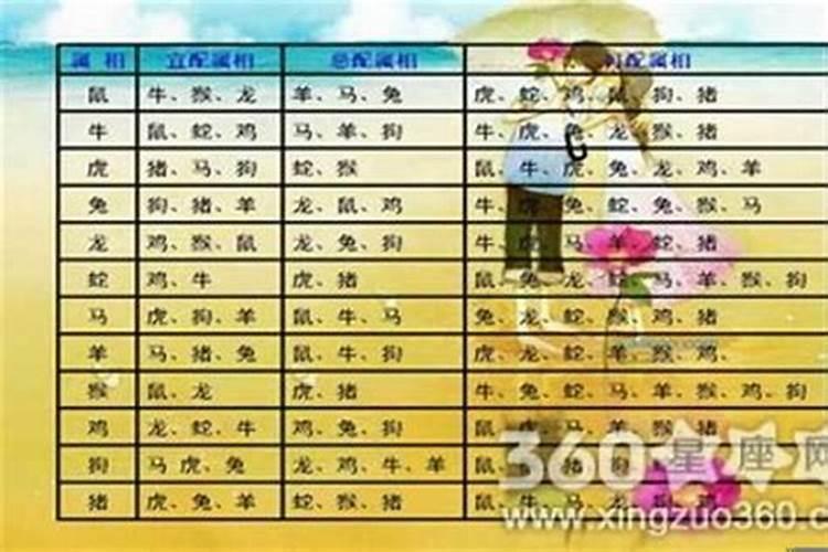 94年属狗男最佳婚配属相