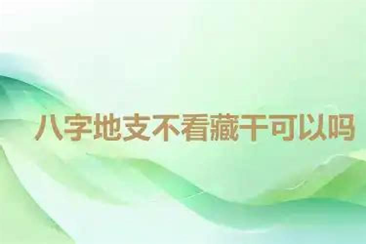 八字不看地支藏干就是笑话,新派就是垃圾,段建业说的,我当地命理馆老大爷...