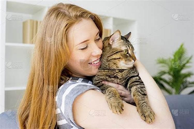 养猫的人为什么大多数都是单身？