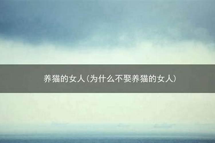 养猫能招财吗？你的八字能养猫吗？