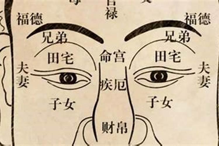 五行土旺怎么化解 五行土旺化解办法