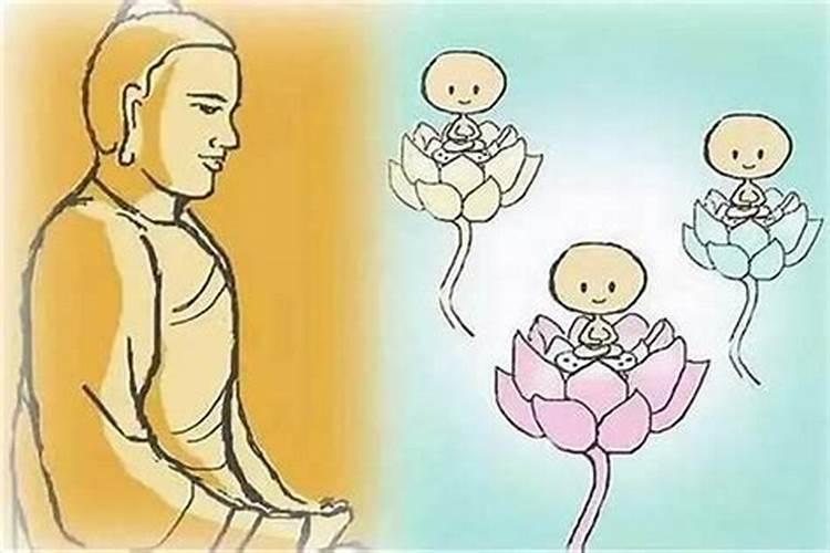 打掉的婴儿真的不能转世了吗  百度宝宝知道