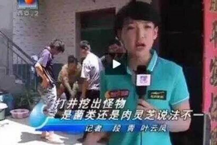 西安"最萌女记者 的名字叫什么？