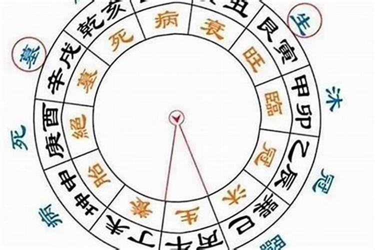 八字大运是什么意思