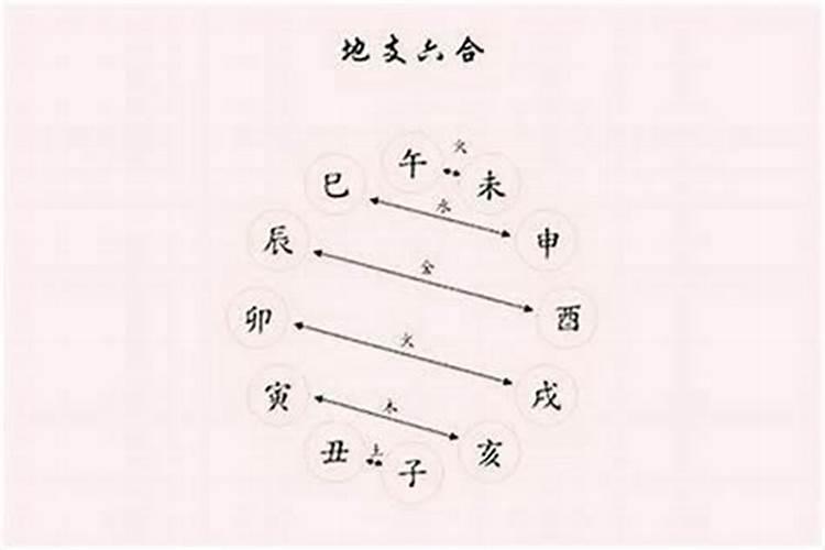 冬至吃老母鸡的好处