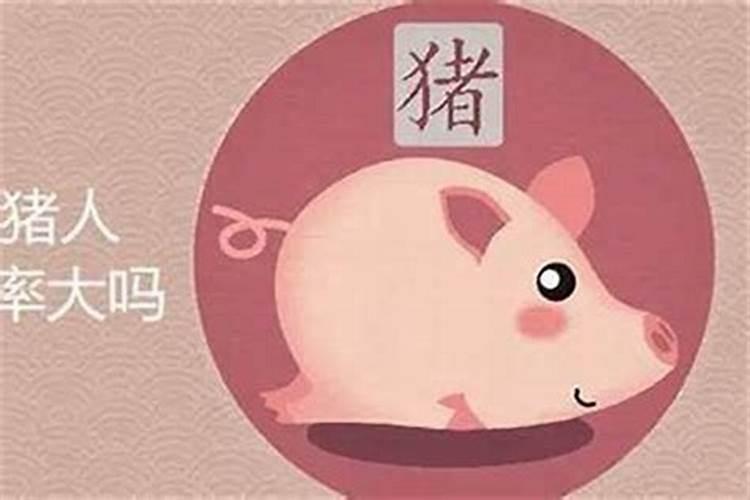 71年猪人2025年运势