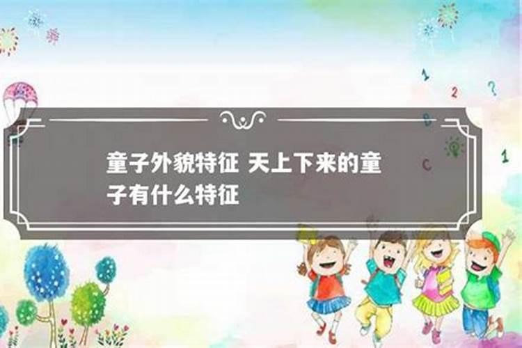 黄衣童子是什么意思？