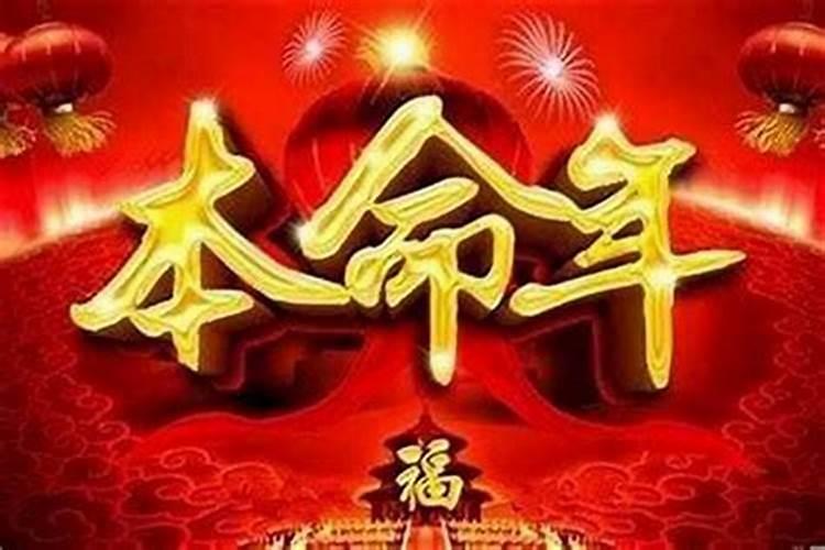 属猪的人一生命运如何,属猪一生中的命运如何？几月出生最好