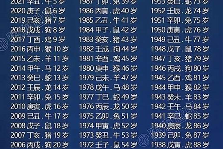 84年2025年属鼠人的全年运势