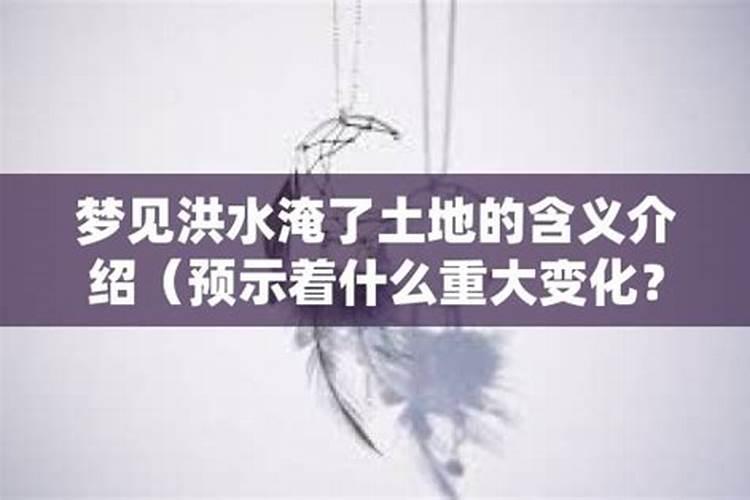 玉溪有哪些好吃的美食推荐
