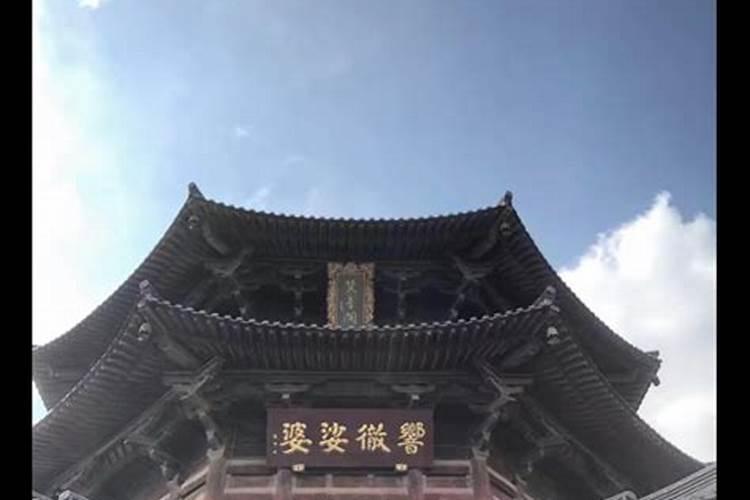 1970年属狗男士(55岁)2025年运势透视,看看每个月的好运