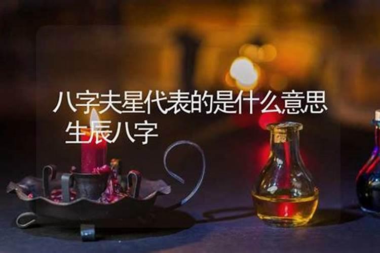 十二生肖中最爱哭的动物是什么