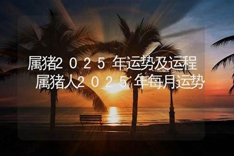 1964年属龙2025年每月运势