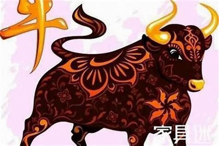 怎么破解胖子无臀部,事业及财运都不佳,感情及婚姻也不理想