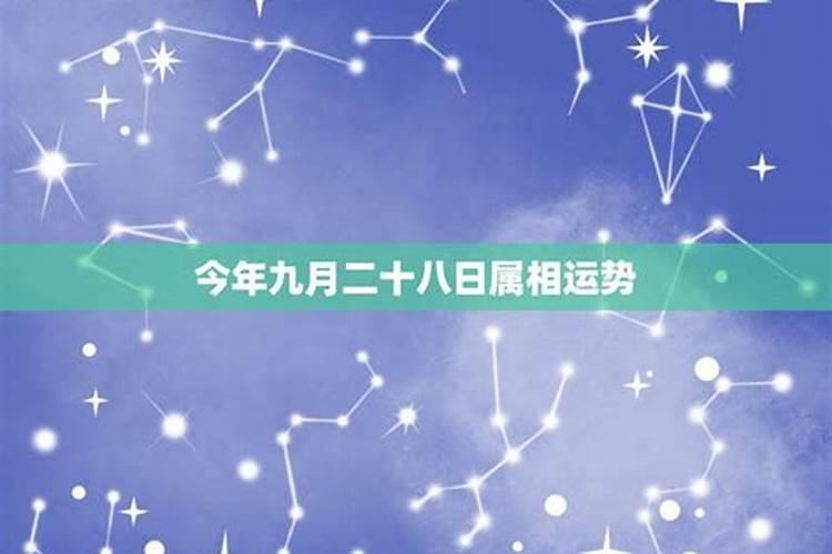 1983年属猪人2025年运势及运程