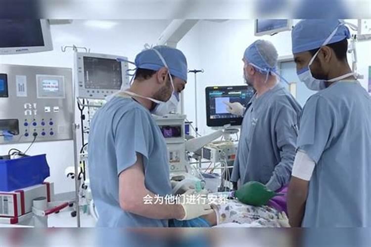 龙抬头能不能理发