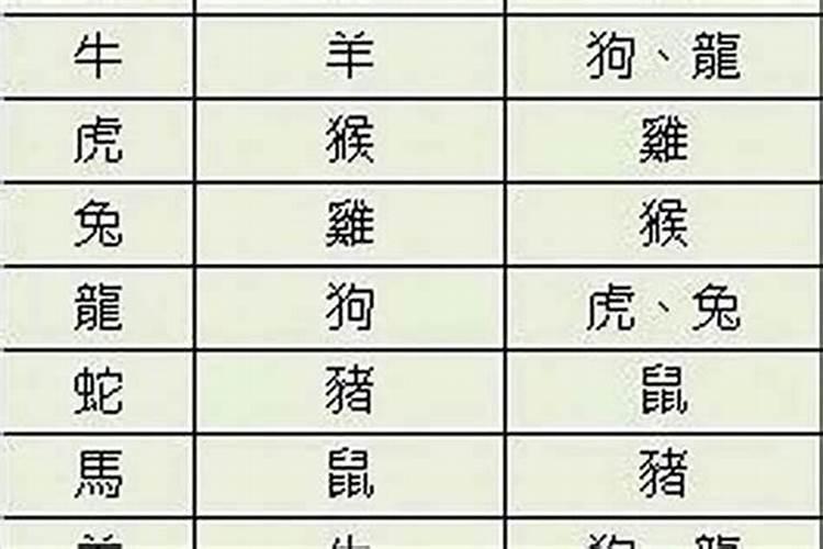 牛跟牛结婚属相合不合 感情会出现什么问题？