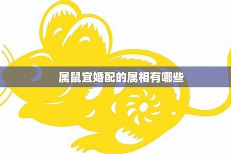 梦见在家给死去父亲烧香磕头的预兆