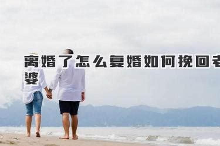 2025属猴犯太岁吗