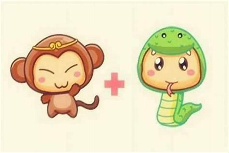 属猴和属蛇的婚配好吗？