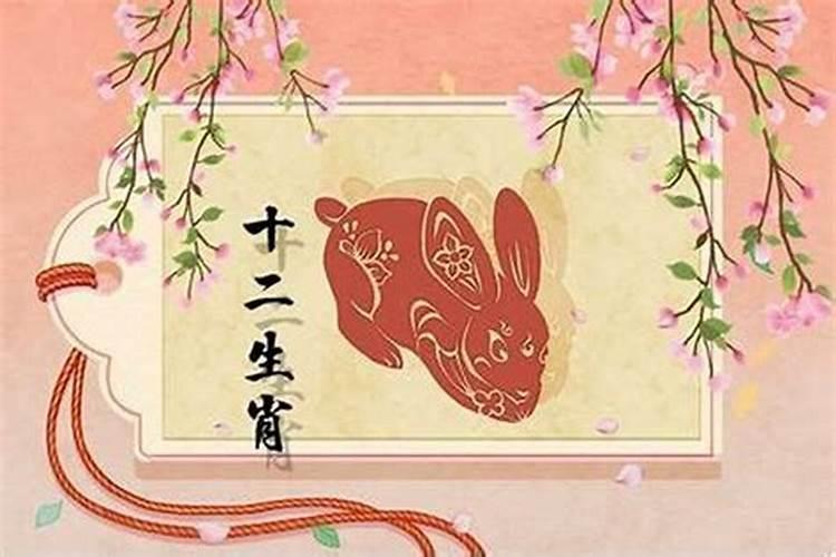 猪年属兔人的运势如何 运程解析？