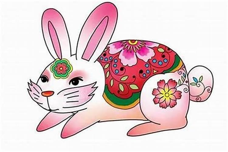 属兔人啥年运势最旺