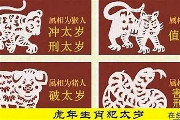 25年太岁犯什么属相