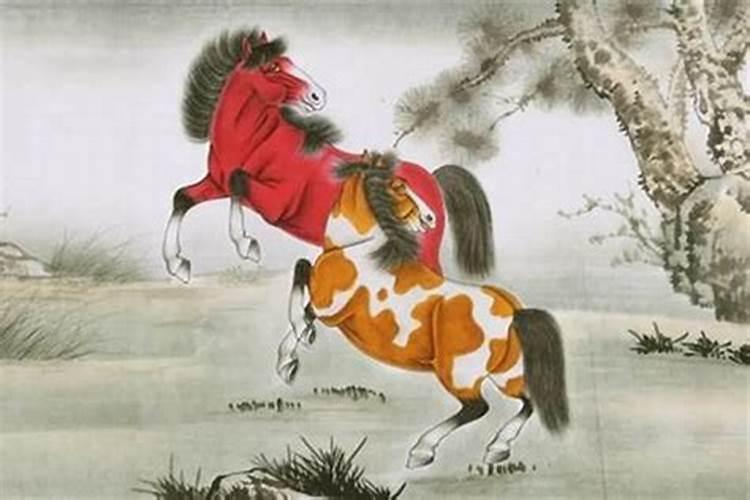 请问属马人龙年运气如何